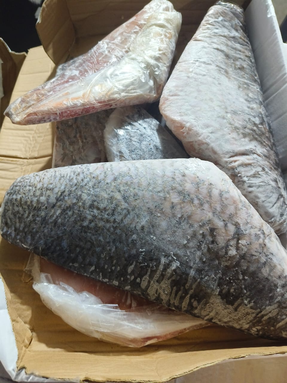 Ikan Kakap Putih Portion
